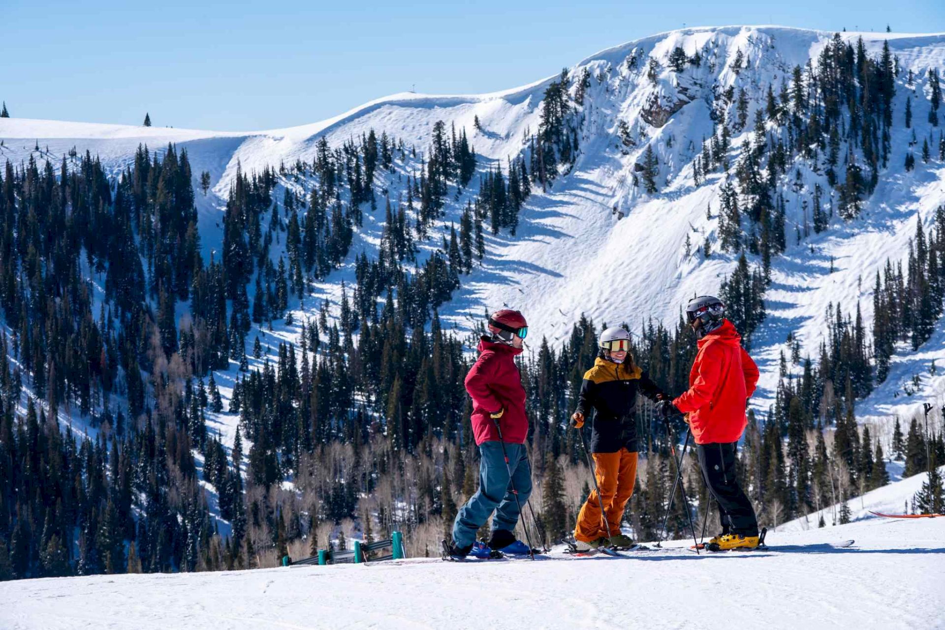 Three people snowboarding on a snowy mountain slope, wearing colorful jackets, with pine trees and blue sky in the background.