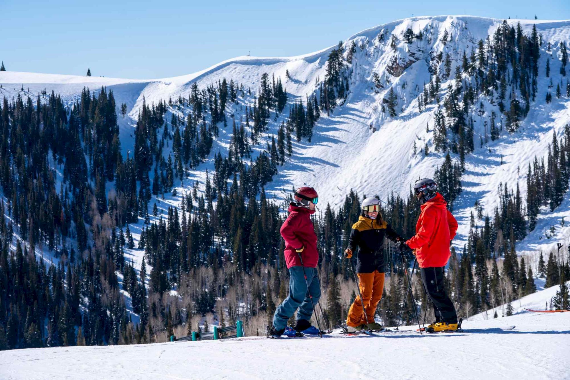 Three skiers standing on a snowy mountain slope with pine trees and bright blue sky behind them.