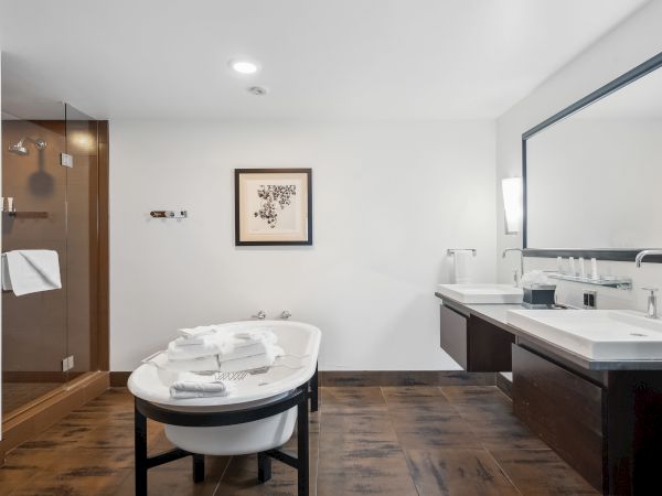 The image shows a modern bathroom with a large tub, two sinks, a glass-enclosed shower, and a large mirror on the right wall.