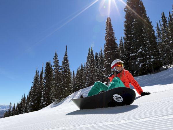A person in a red jacket sits on a snowboard, carving down a snowy slope with tall pine trees and bright sun in a clear blue sky.