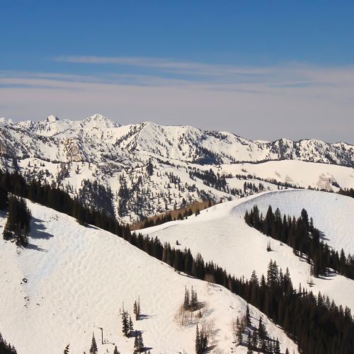 Snowy alpine mountain range with pine forests and ski slopes under a bright blue sky, stretching toward distant peaks.