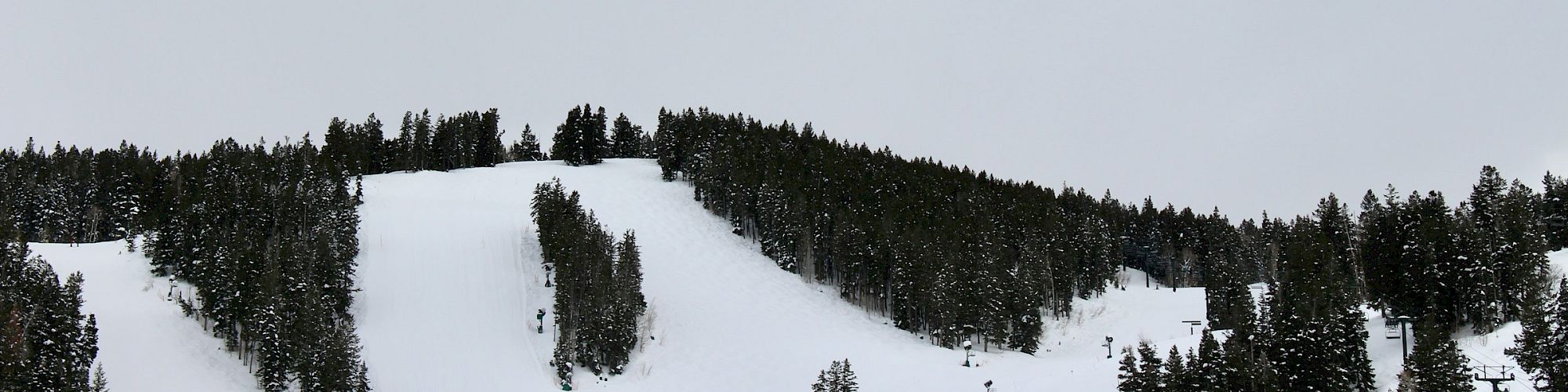 A snowy ski slope winds through dark evergreen forests under a gray, overcast sky.