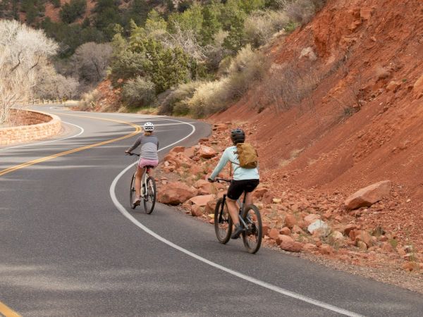 Cyclists ride a winding road through a red rock canyon beneath towering cliffs and desert trees.